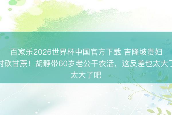 百家乐2026世界杯中国官方下载 吉隆坡贵妇回村砍甘蔗！胡静带60岁老公干农活，这反差也太大了吧